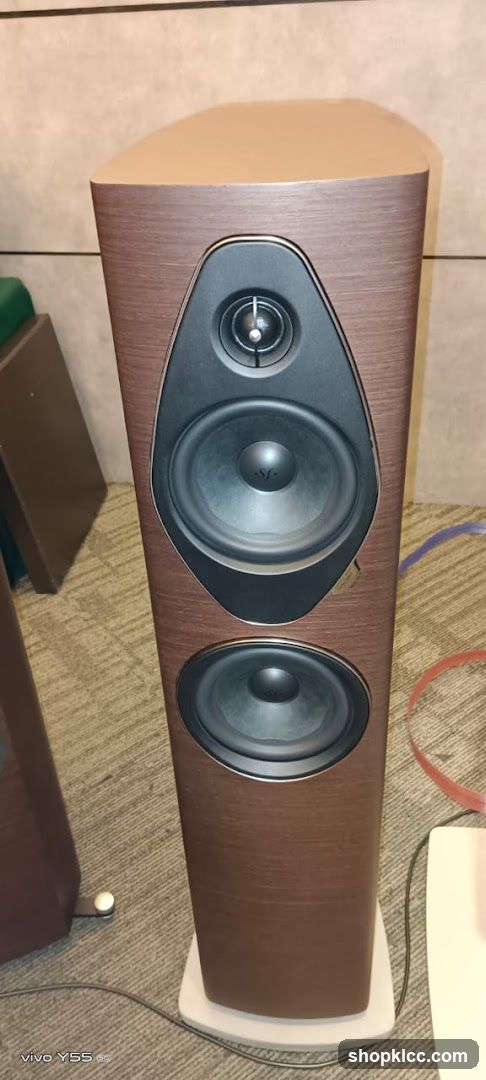 Speaker Cabinet