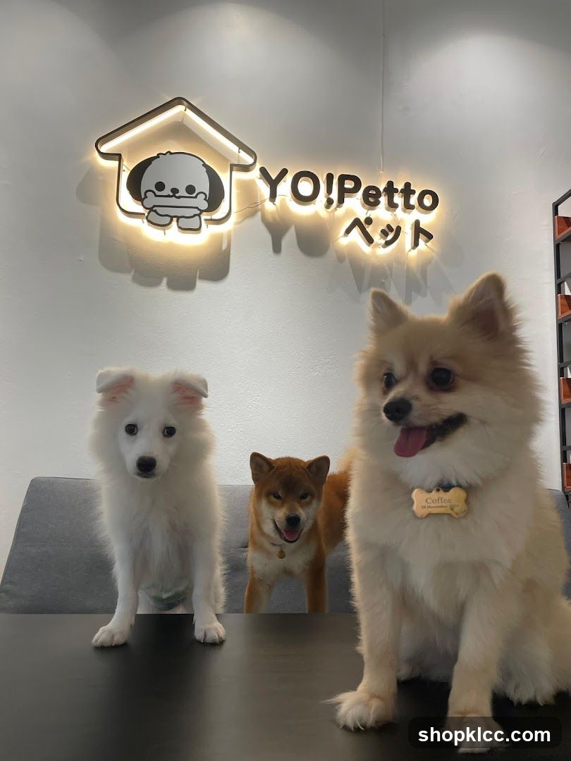 Yo!Petto by YoYo Sweet House