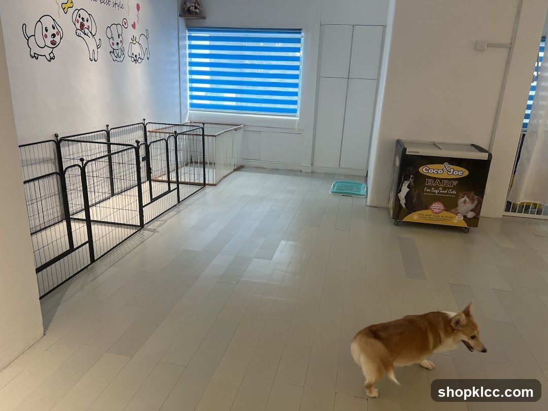 Dog Room Interior
