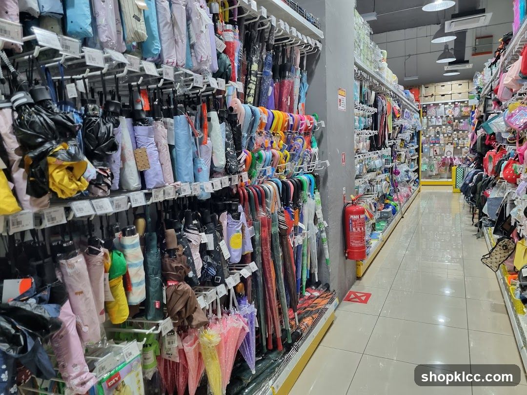 Umbrella and Accessories Store Interior