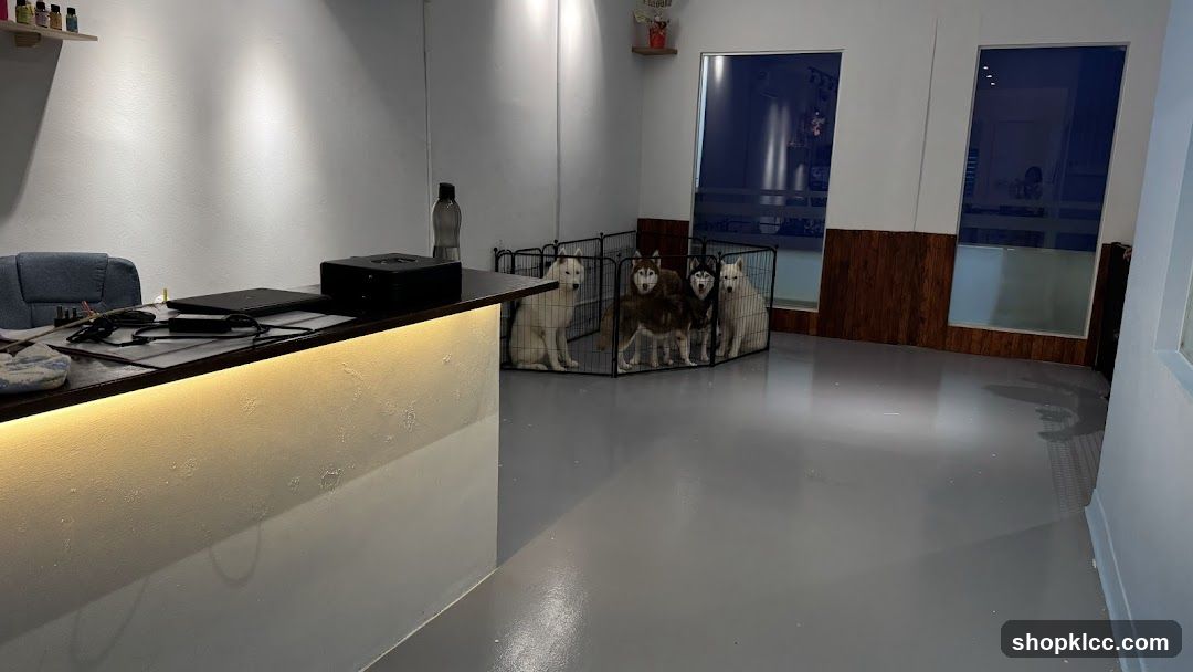 Interior of a pet shop or dog care center
