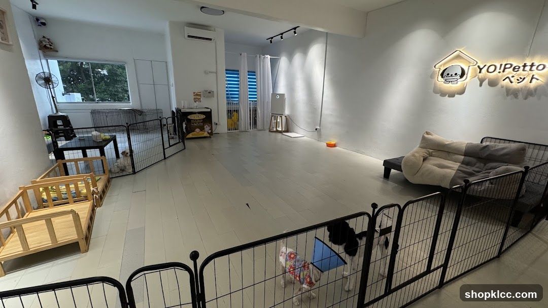 Pet Shop Interior