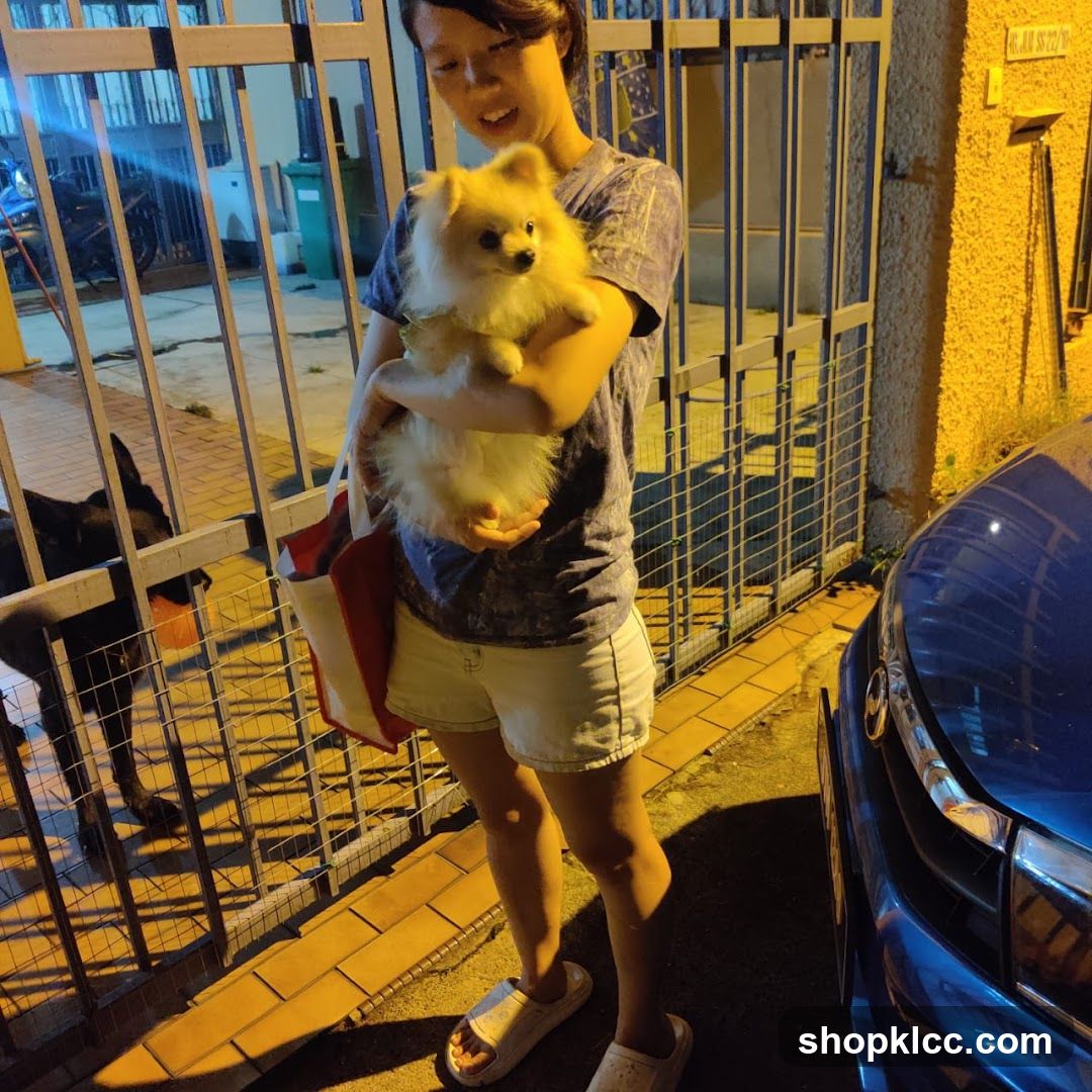 Woman holding a small fluffy dog at night