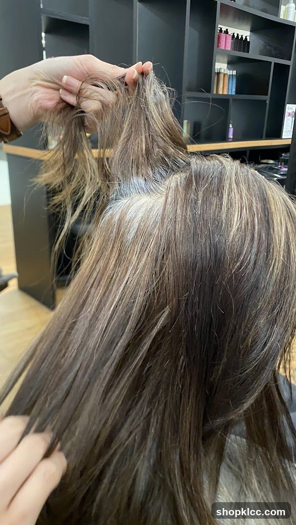 Hair Salon Interior