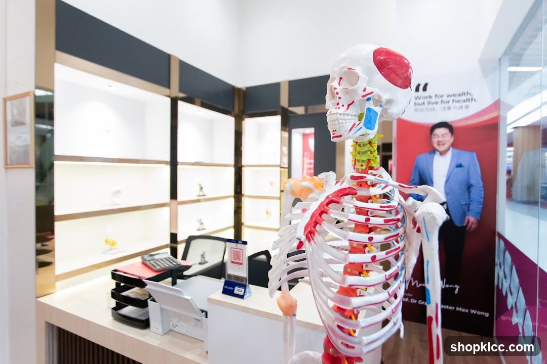 Anatomical Skeleton Display in Retail Interior