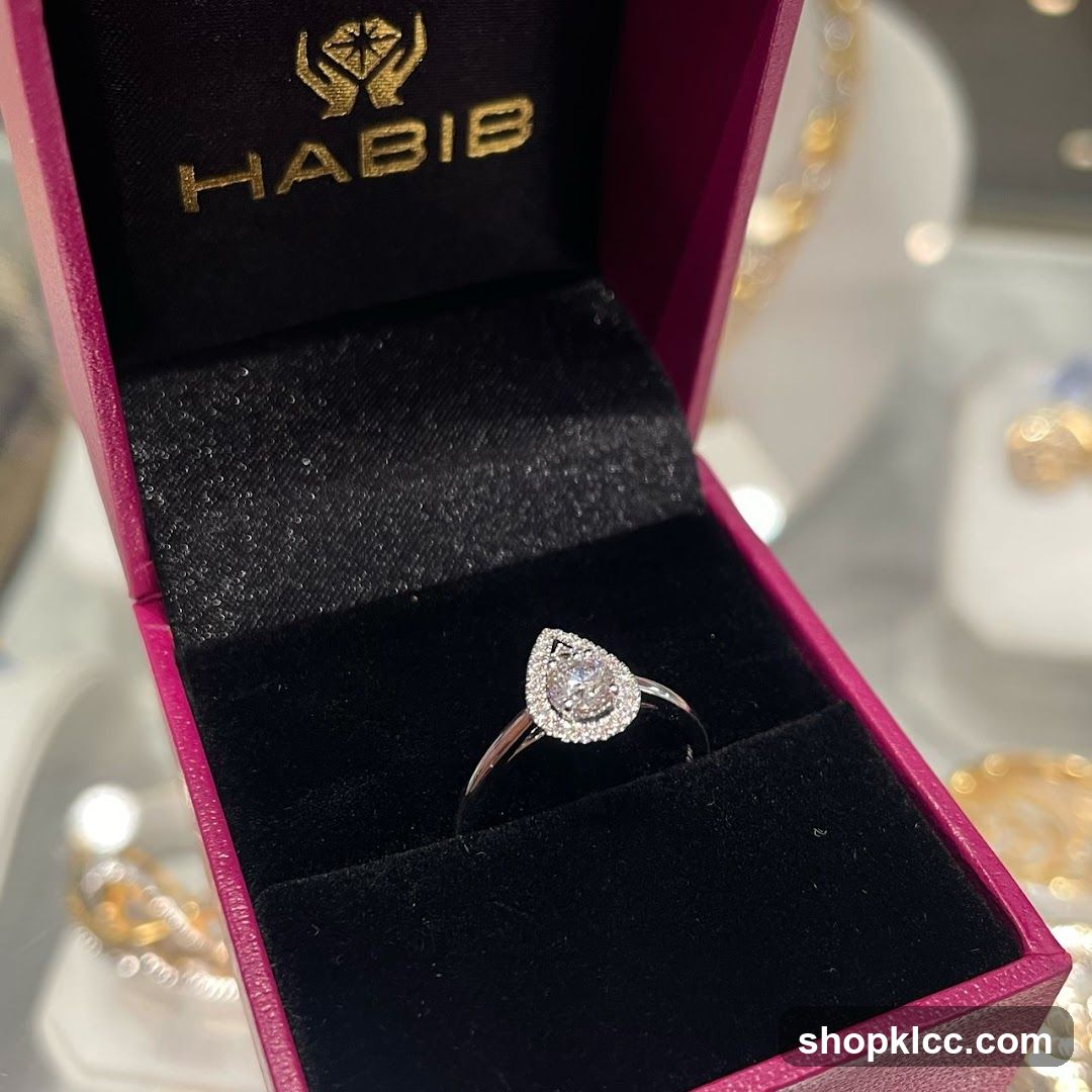 HABIB Ring Display