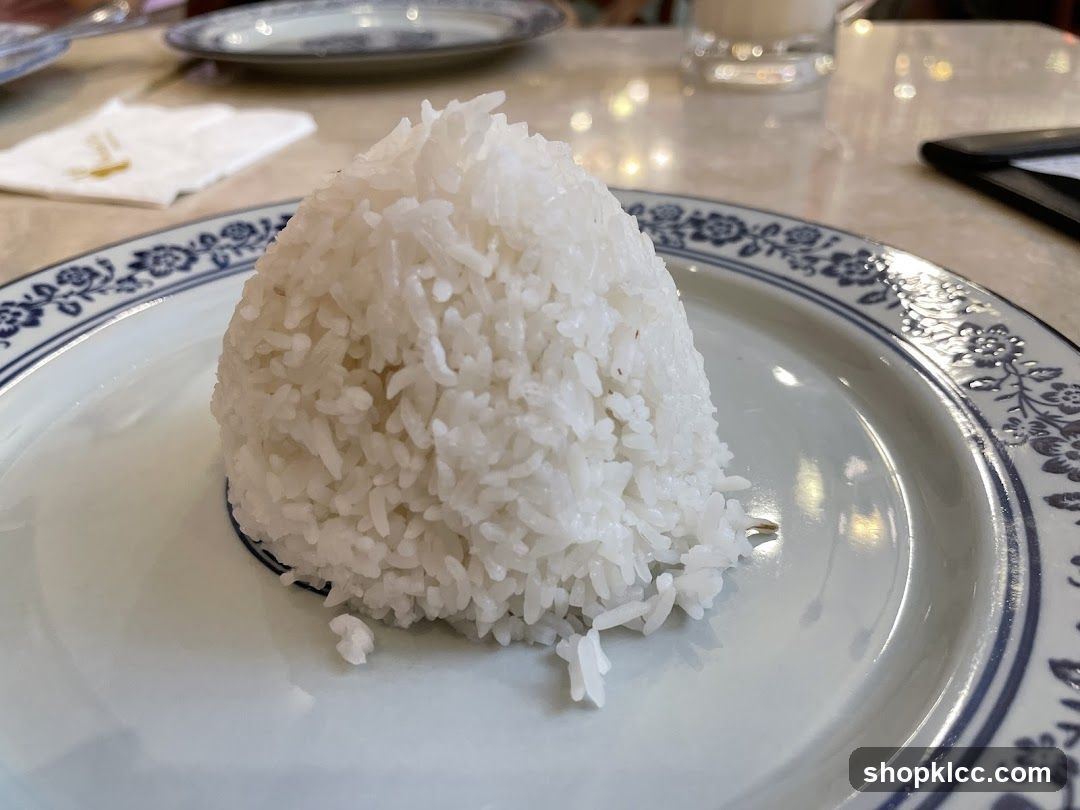 Rice Ball on Plate