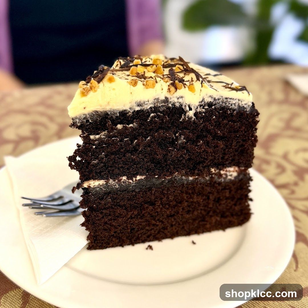 Chocolate Cake Slice