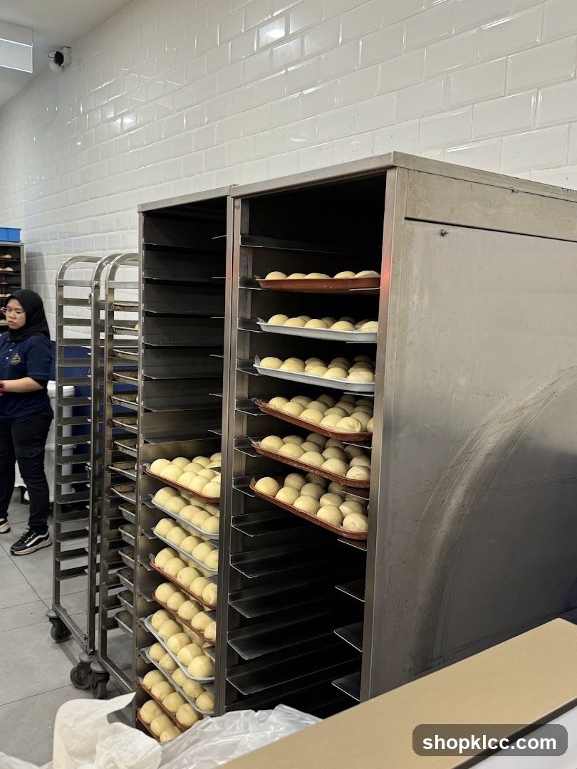 Bakery Interior with Dough Balls