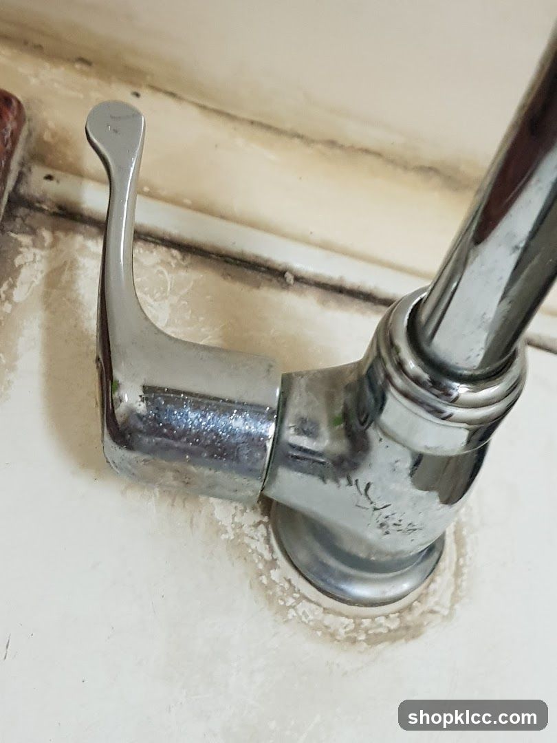 Chronicled faucet