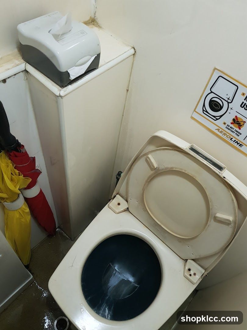 Restroom Interior with Toilet and Umbrellas