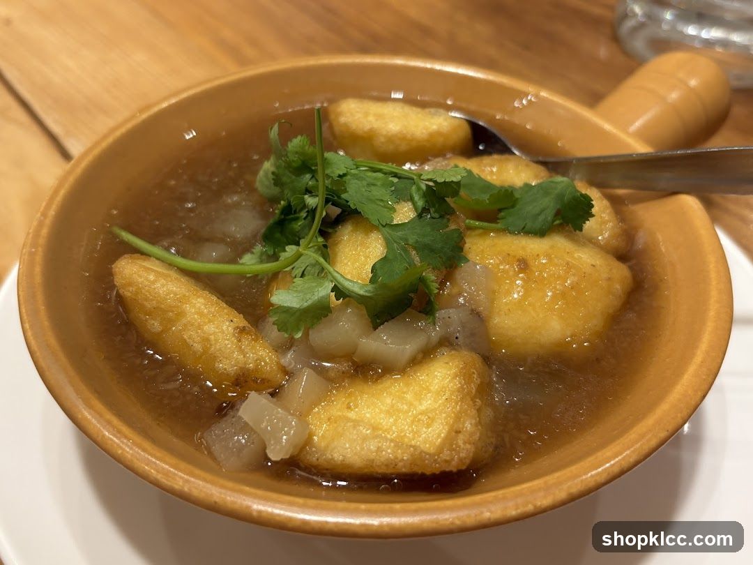 Fried Dough Soup with Tofu and Cilantro