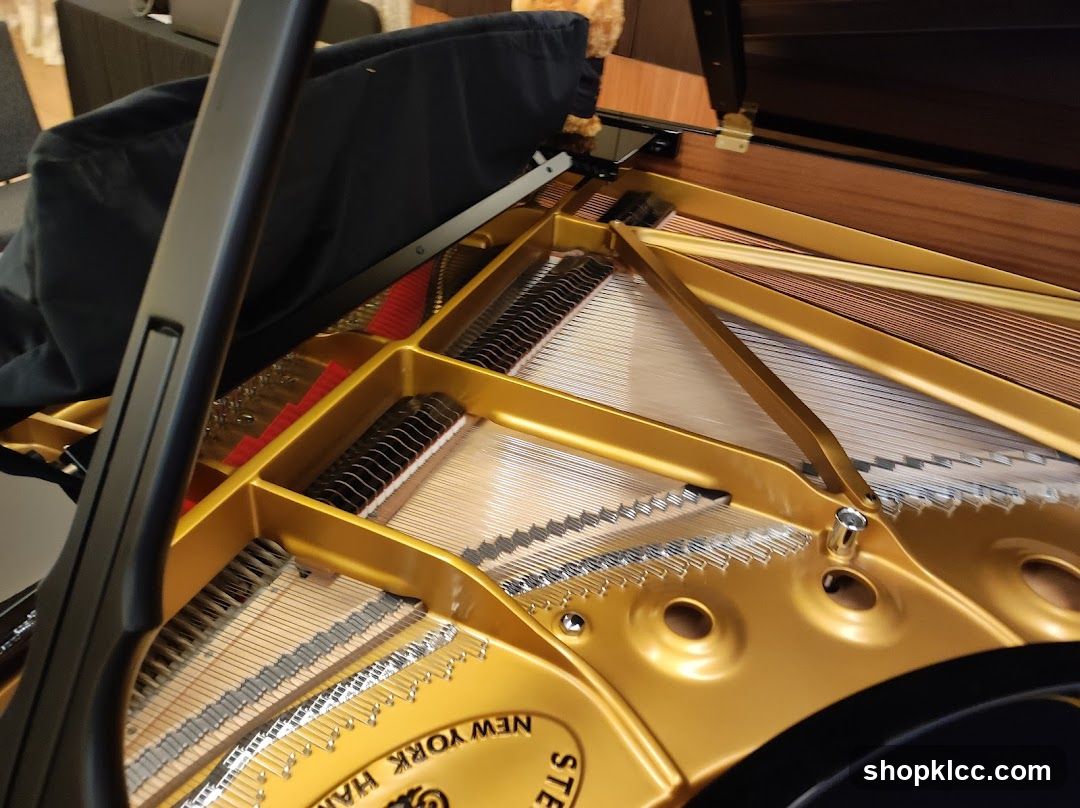 Grand Piano Interior