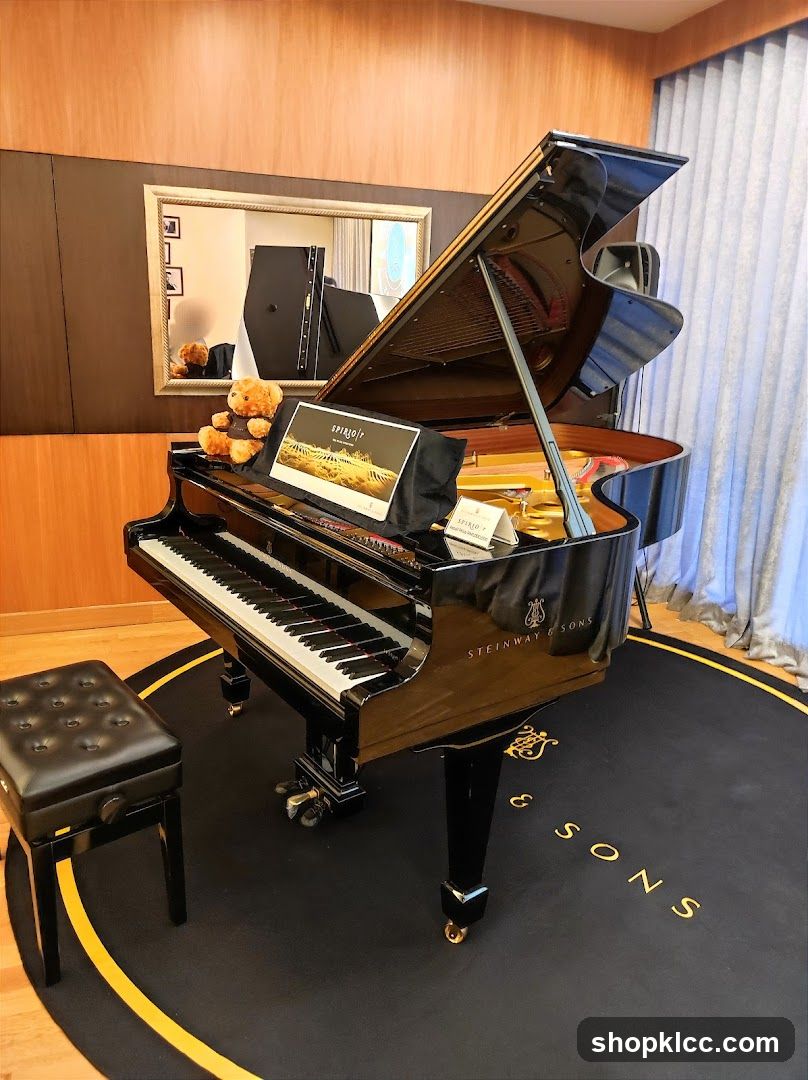 Grand Piano Interior Scene