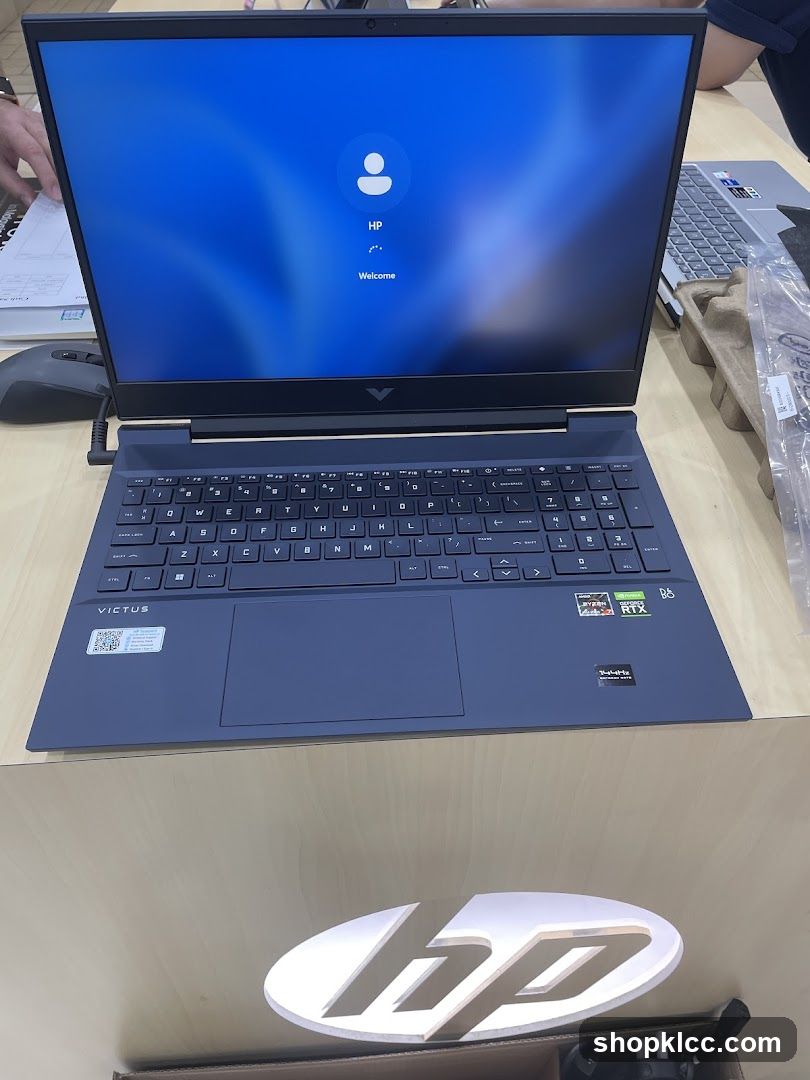 HP Victus Laptop Display