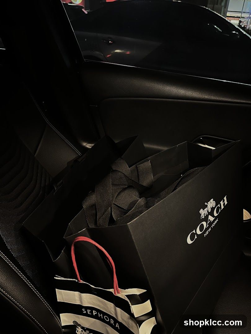 Shopping bags in car