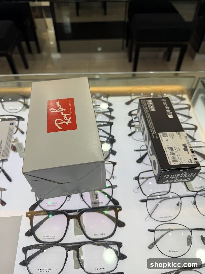 Eyeglass Display Case
