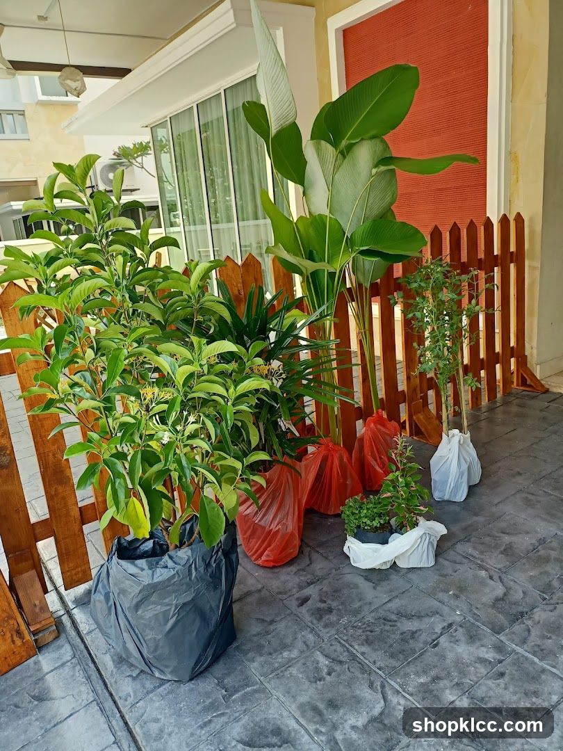 Outdoor Plant Delivery