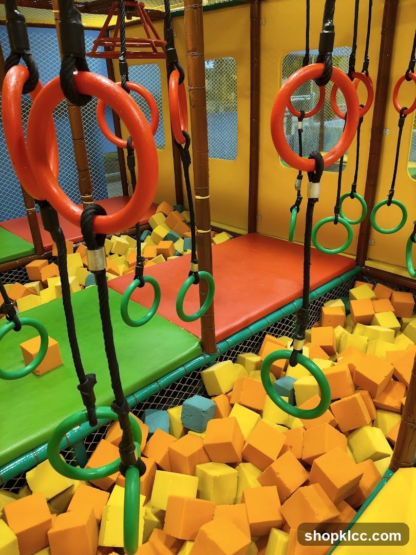 Indoor Play Area with Foam Pit and Rings