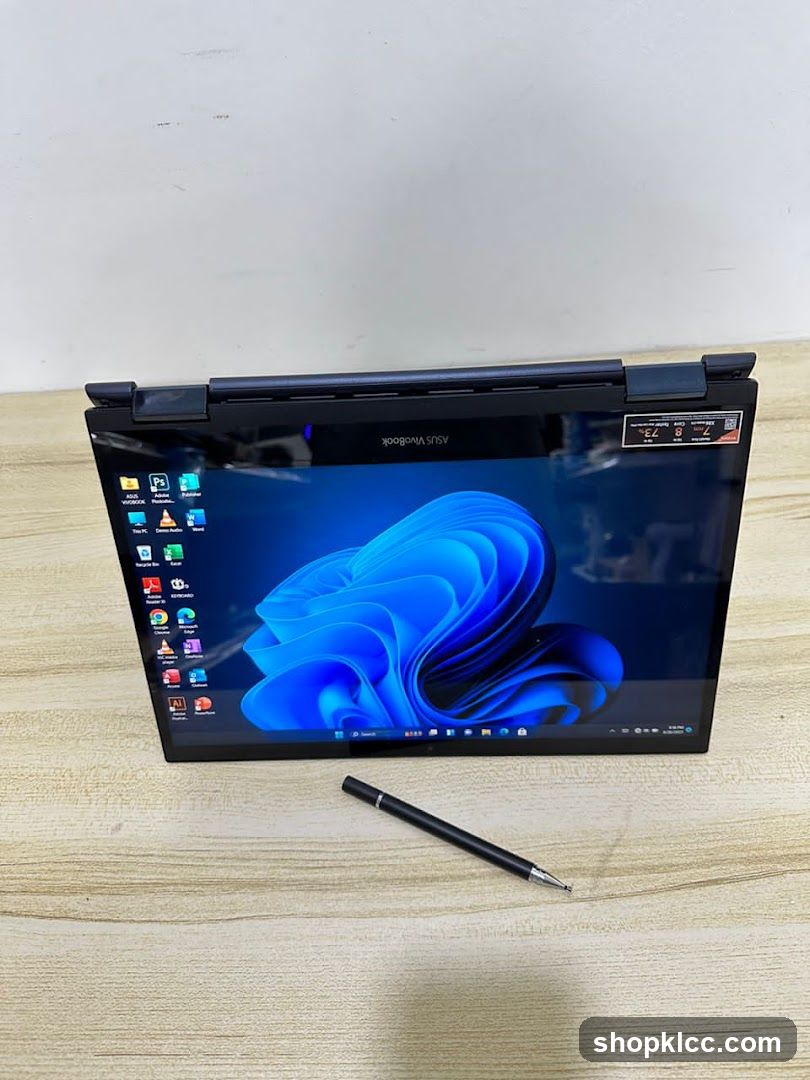 ASUS Laptop Display