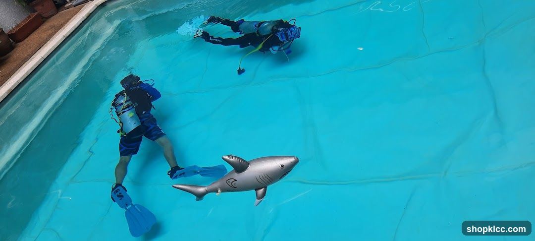Divers in Pool with Inflatable Shark
