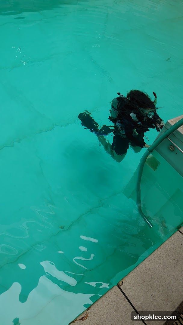 Diver in Pool