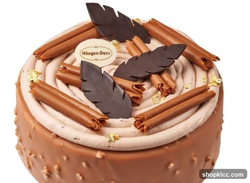 Häagen-Dazs Ice Cream Cake
