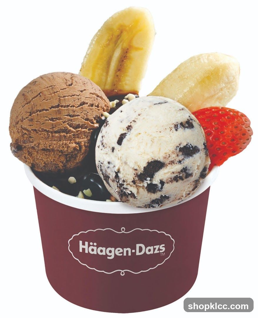 Häagen-Dazs Ice Cream Cup