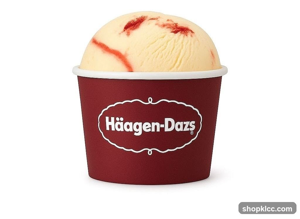 Häagen-Dazs Ice Cream Cup