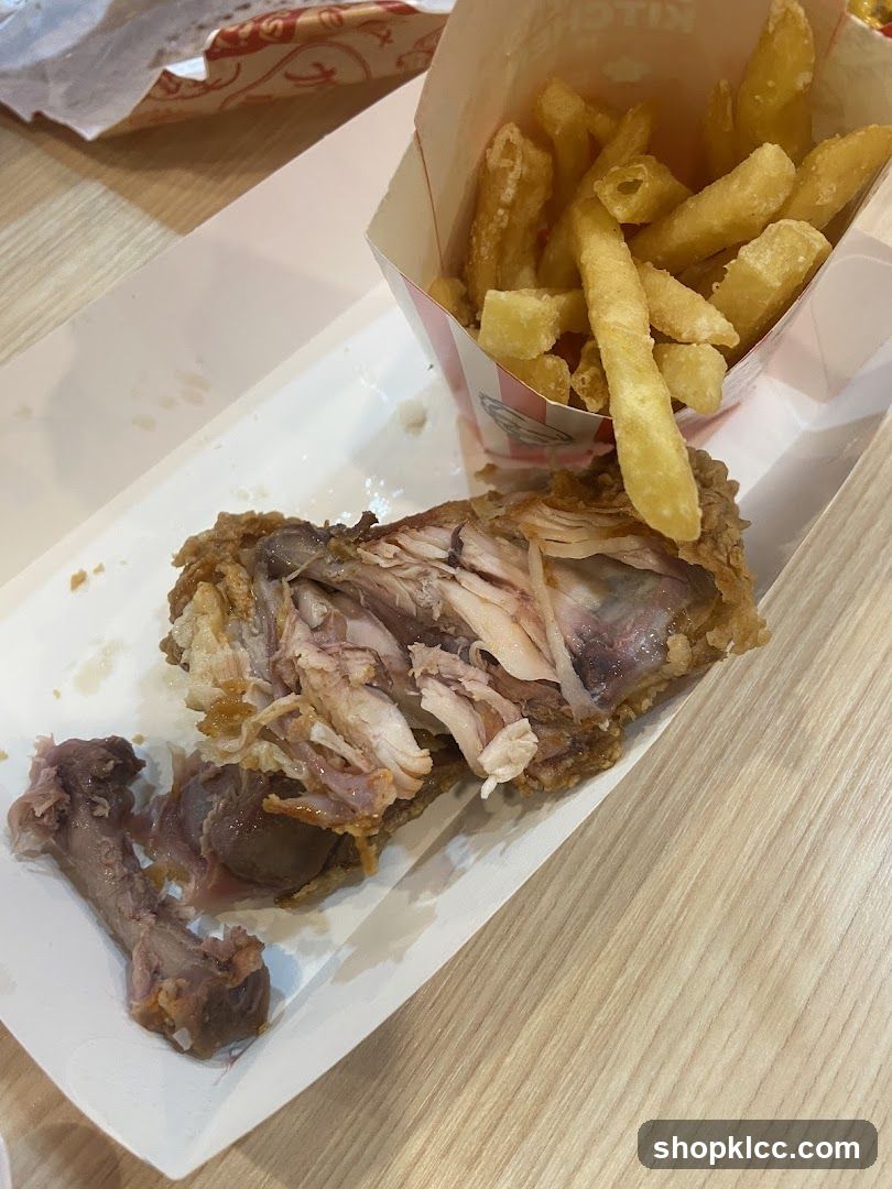 Fried Chicken and Fries