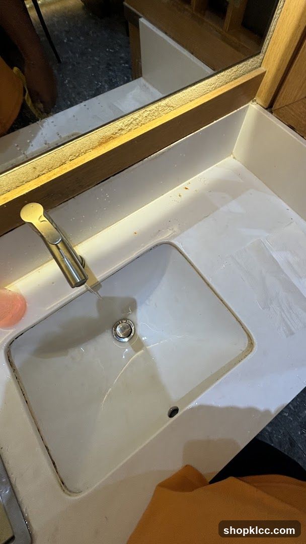 Sink and Countertop
