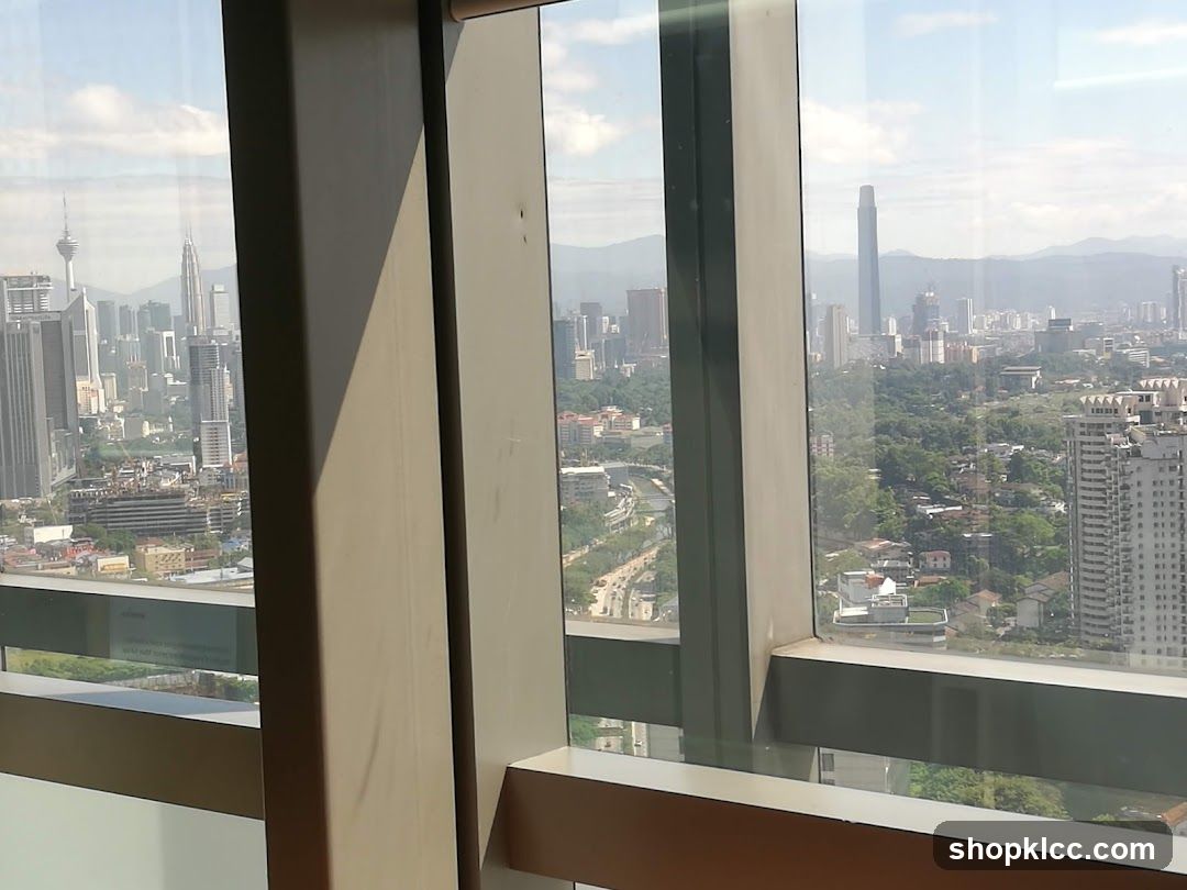 Cityscape View from Window