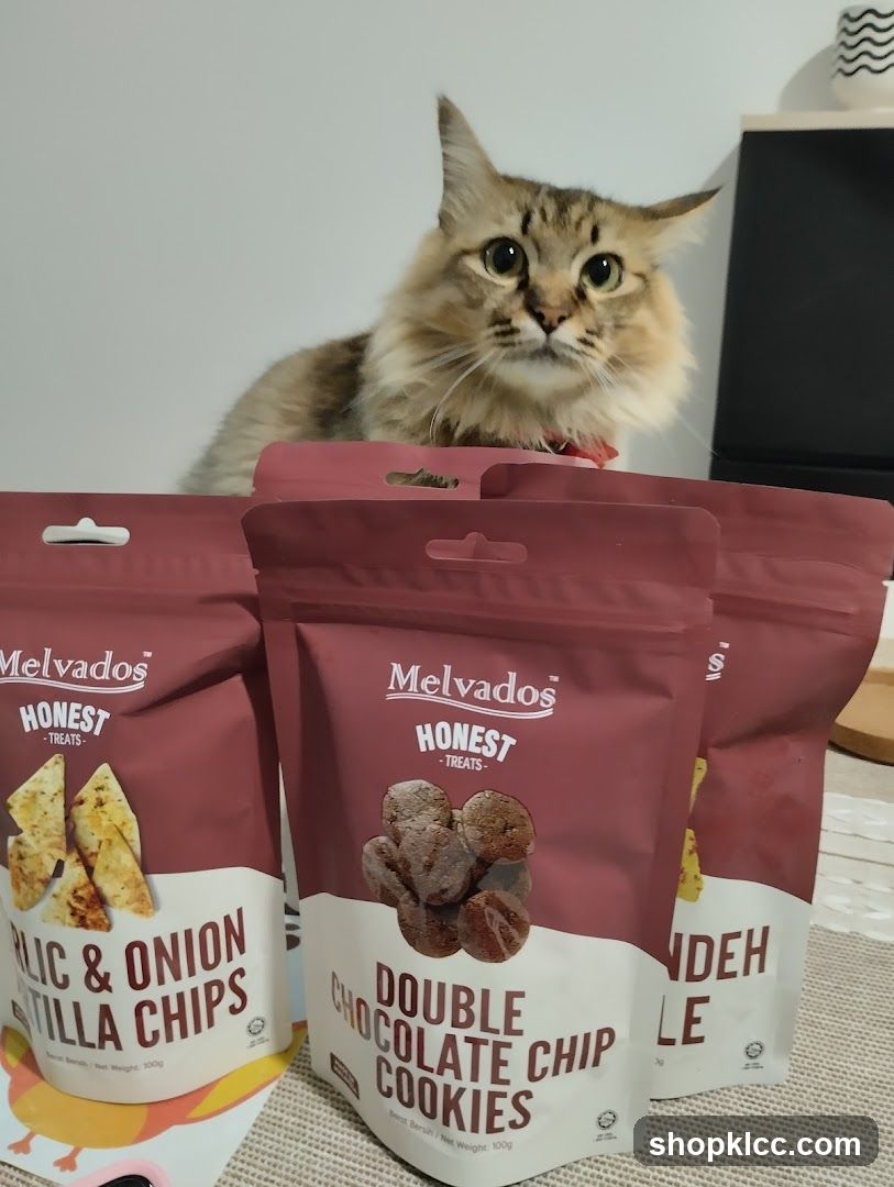 Cat with Melvados Treats