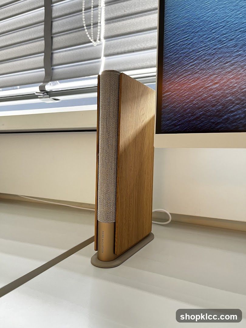 Bang & Olufsen Speaker