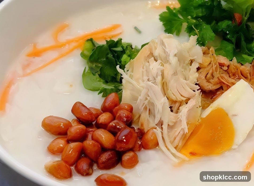Congee with Shredded Chicken and Egg
