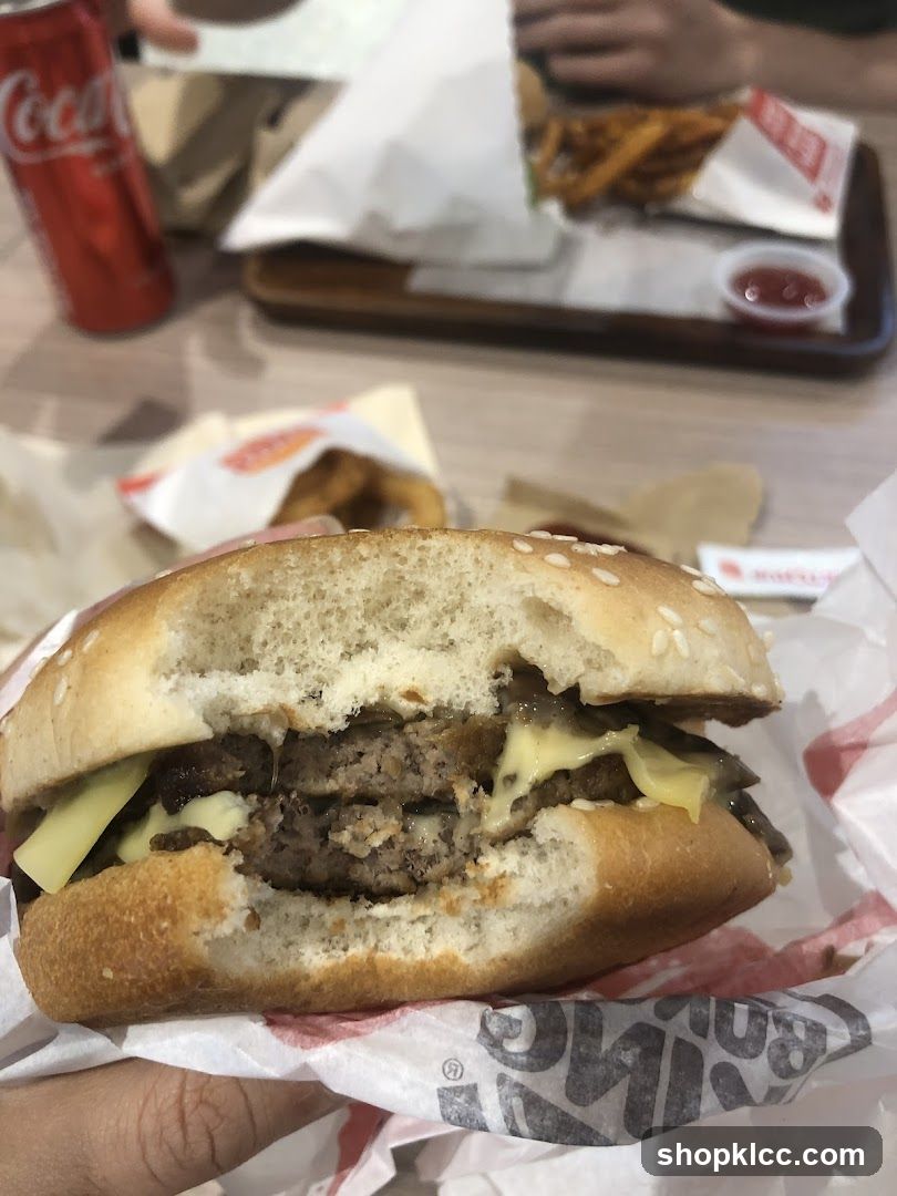Burger with melted cheese and fries