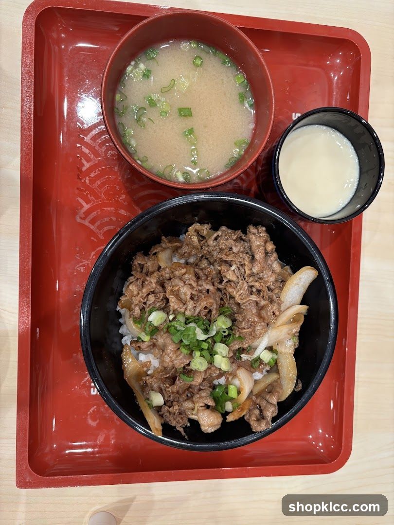 Japanese Lunch Set
