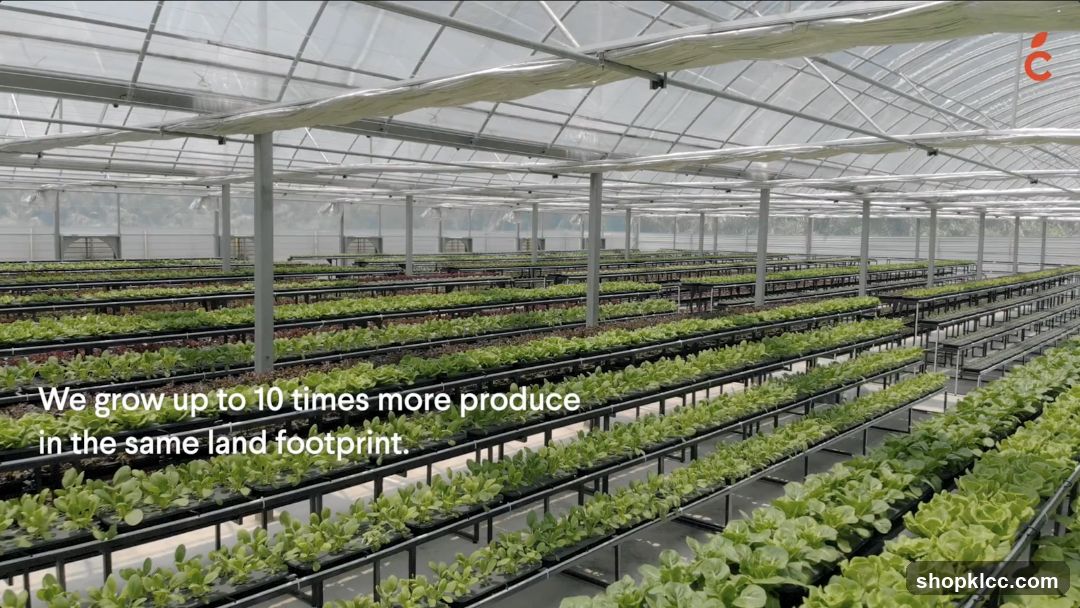Indoor Hydroponic Farming Facility