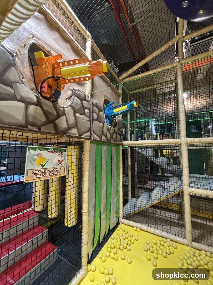 Indoor Play Area with Ball Shooters