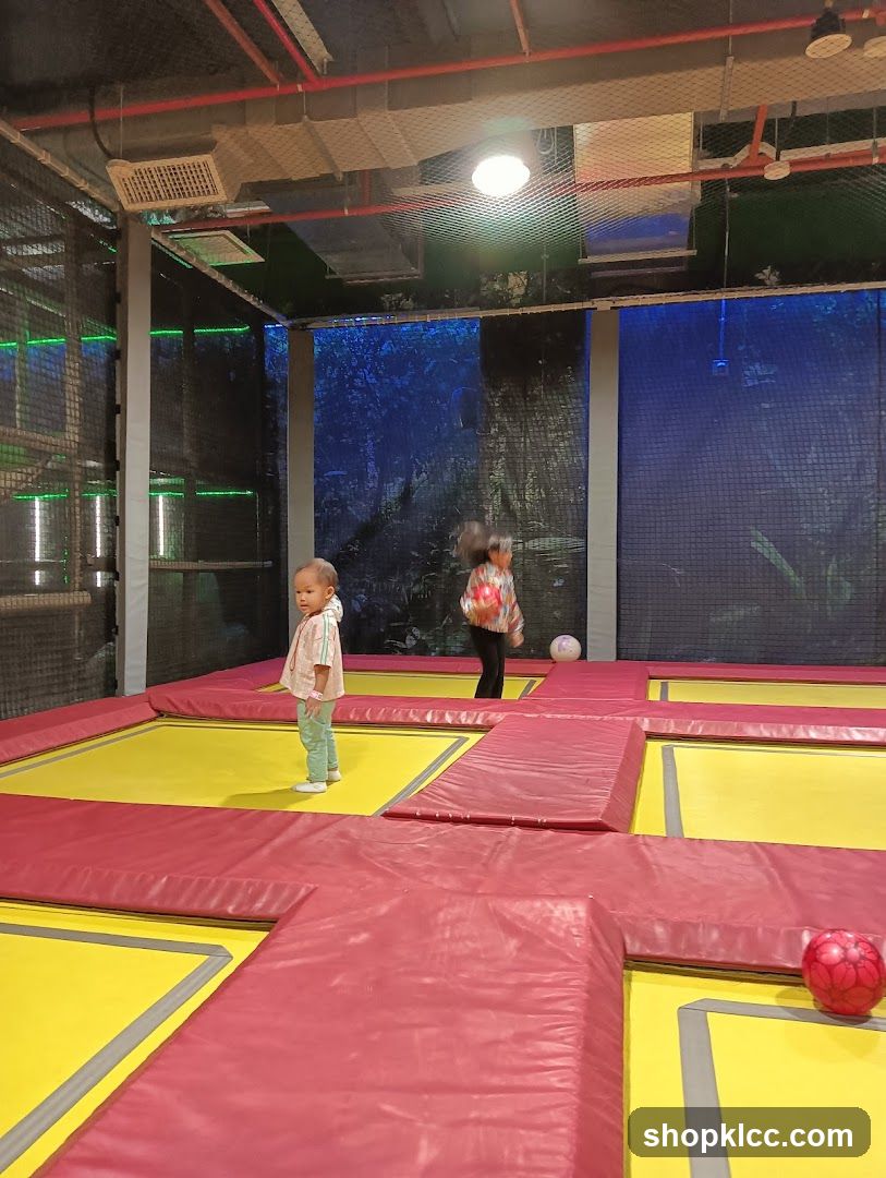Indoor Bounce Park Interior