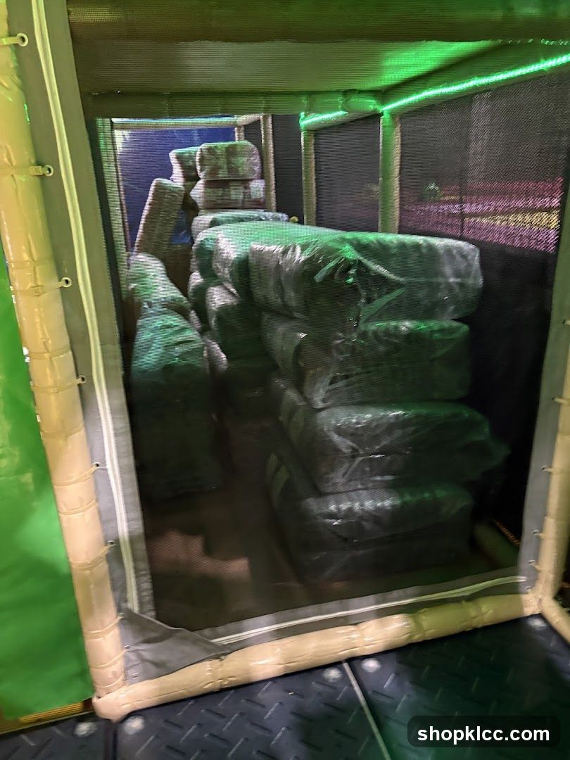 Green Inflated Play Structure Interior