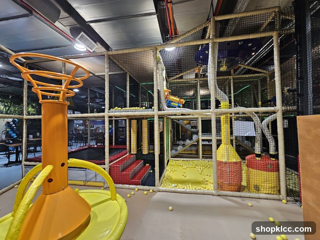 Indoor Play Area with Ball Pit and Basketball Hoop