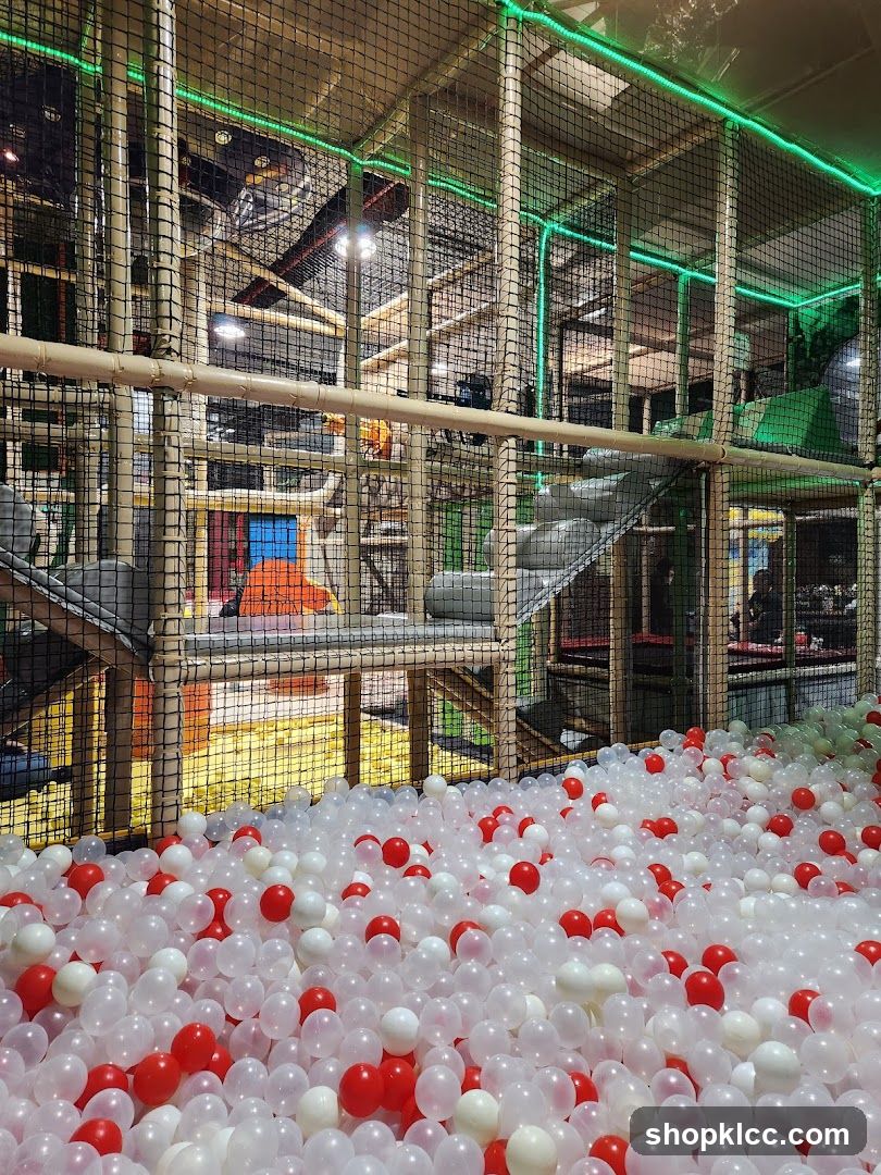 Indoor Play Area with Ball Pit