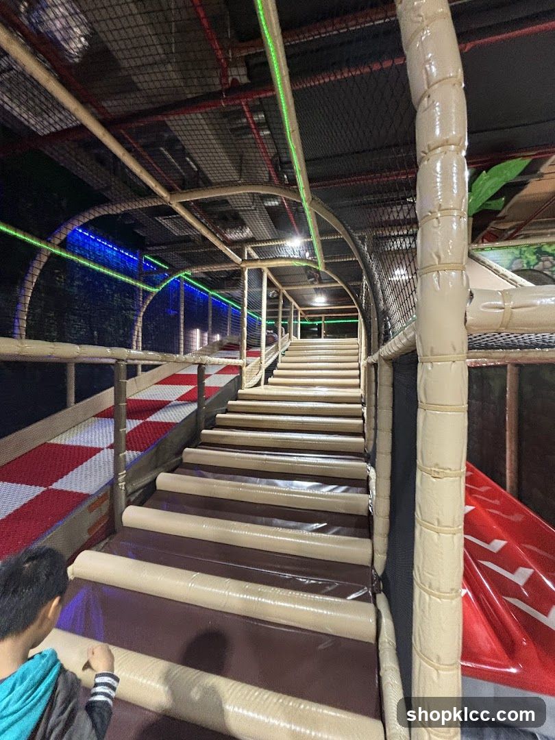 Indoor Play Structure