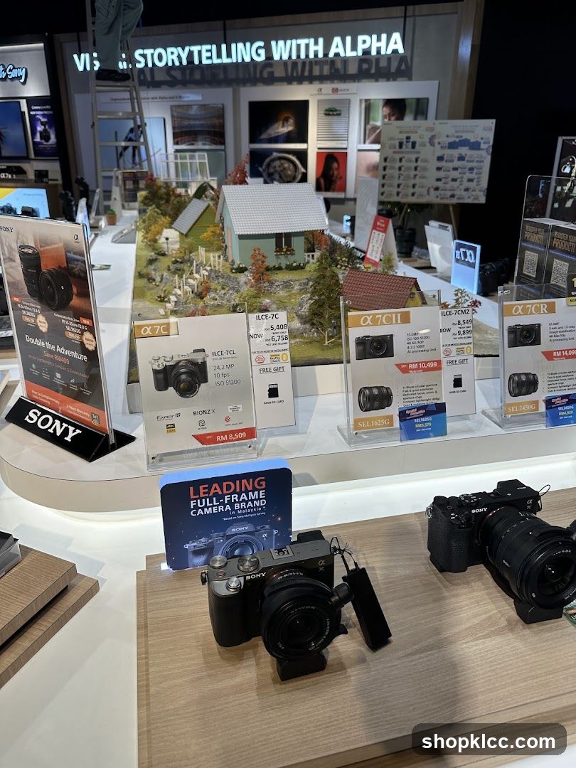 Sony Camera Display