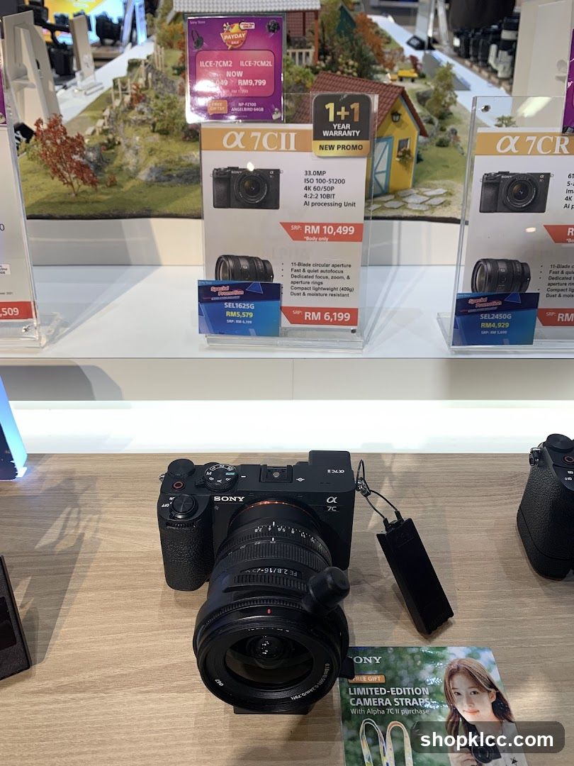 Sony Camera Display