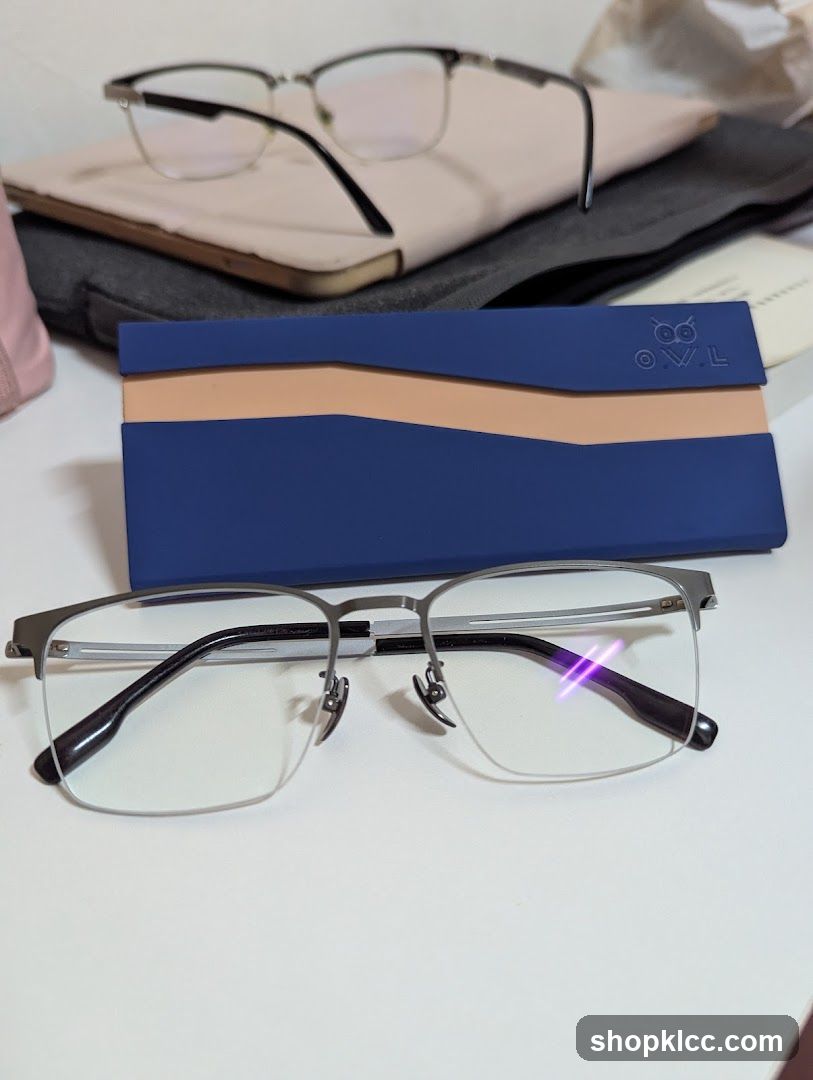 Eyeglasses and Case