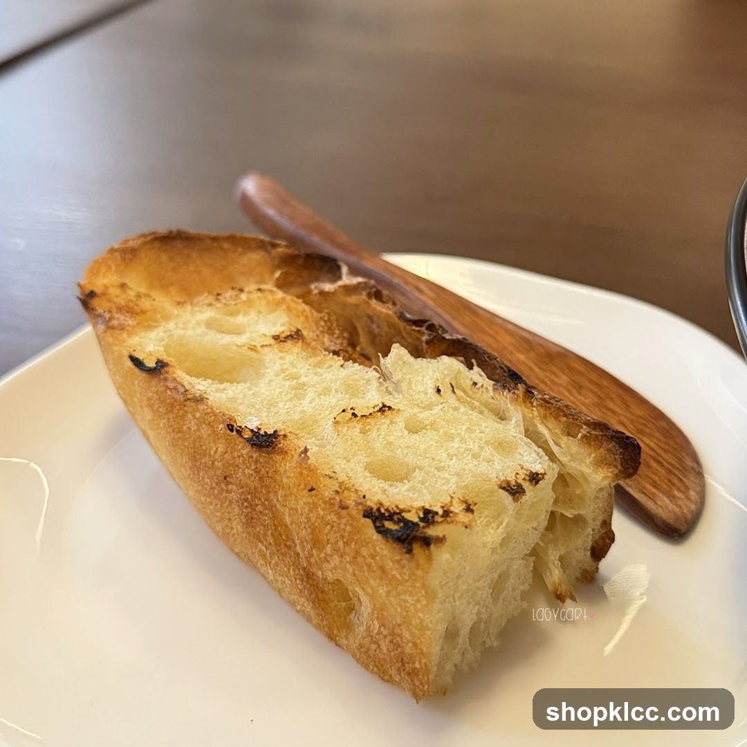 Toasted Bread Slice
