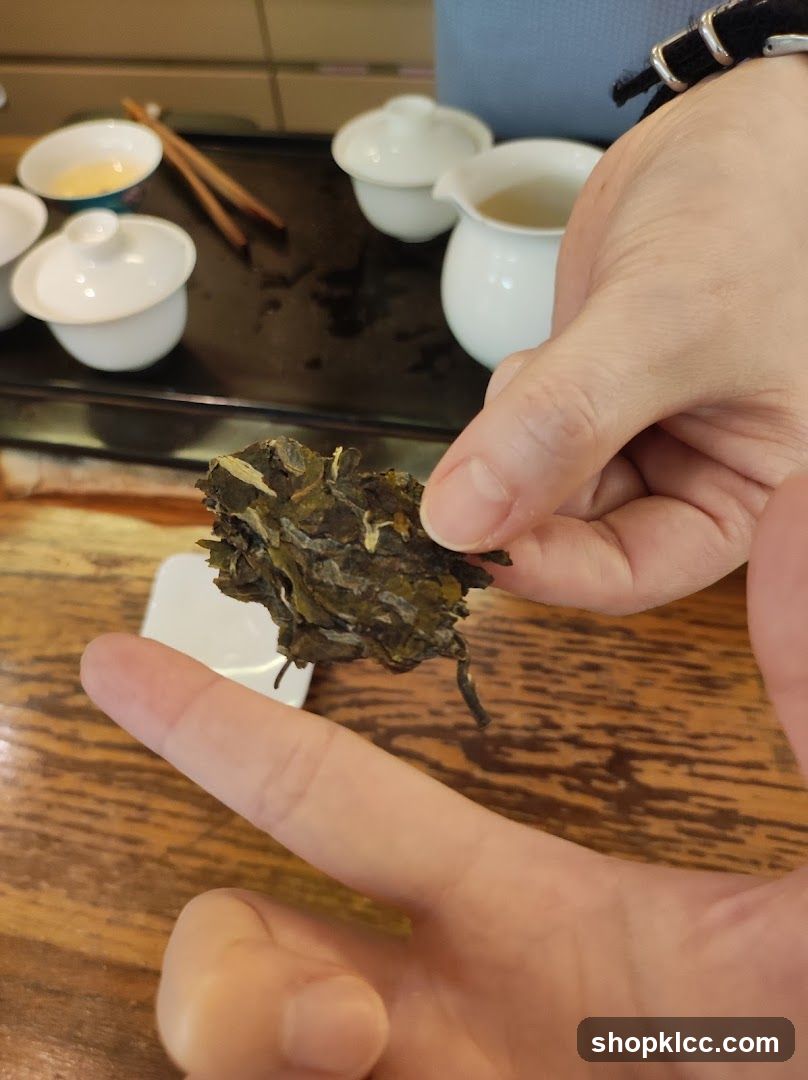 Tea Tasting