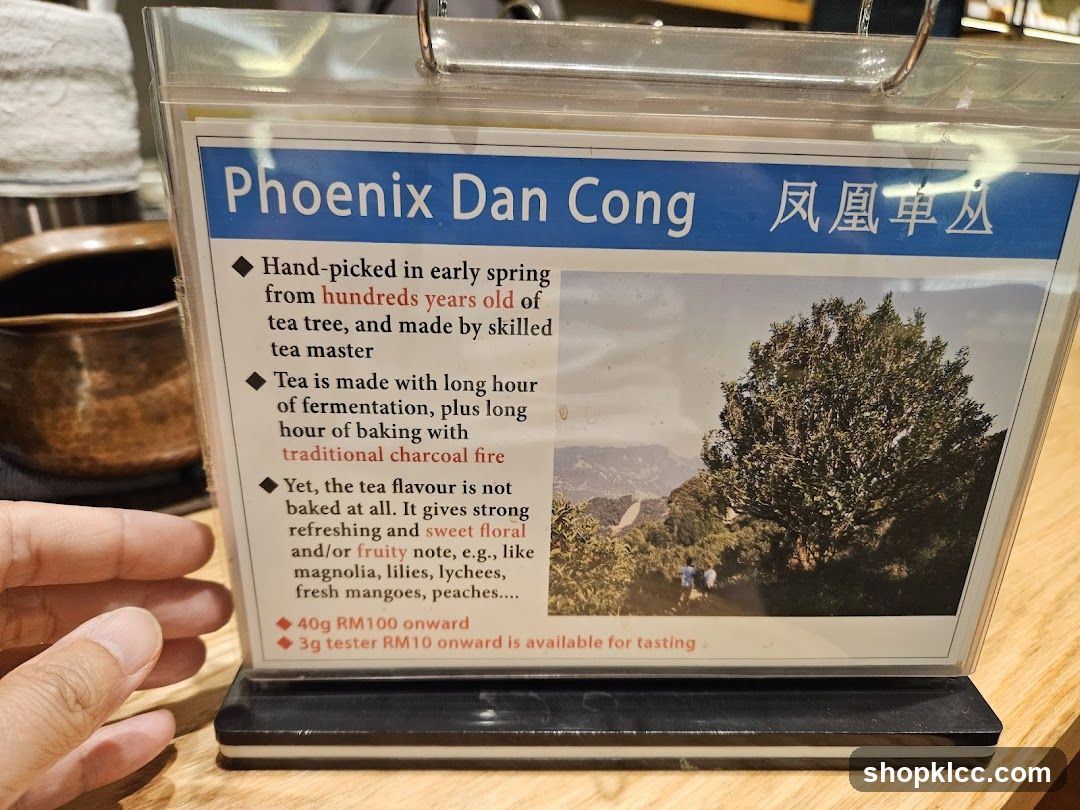 Phoenix Dan Cong